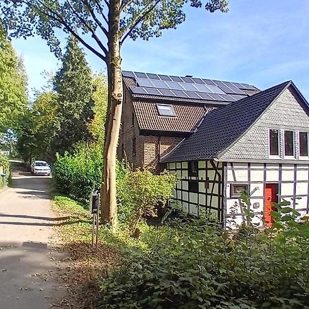 Feierabend Im Gruenen Appartement Haan Buitenkant foto